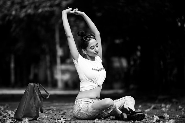 Unlocking happiness in canine training: the ultimate positive reinforcement method for teaching your dog to roll over